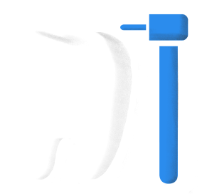 大人の予防プログラム